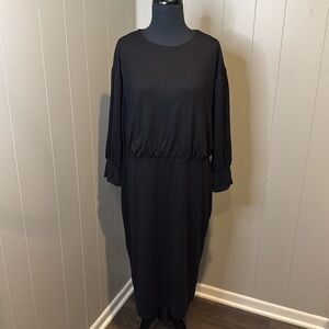 NWT Ann Taylor Women’s 16 Petite Long Sleeve Midi Dress Underling Dress